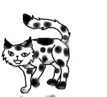 File:Blackspot.jpg