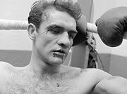 ConneryBoxer
