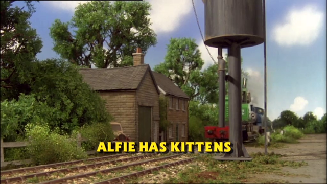 File:AlfiehasKittensTitleCard.png