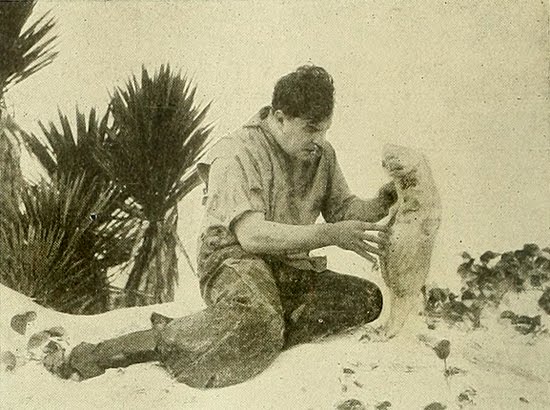 File:Lifewithoutsoul2.jpg