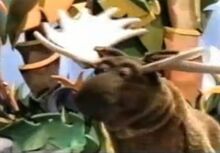 RalphTheMoose
