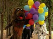 TheBalloonChase
