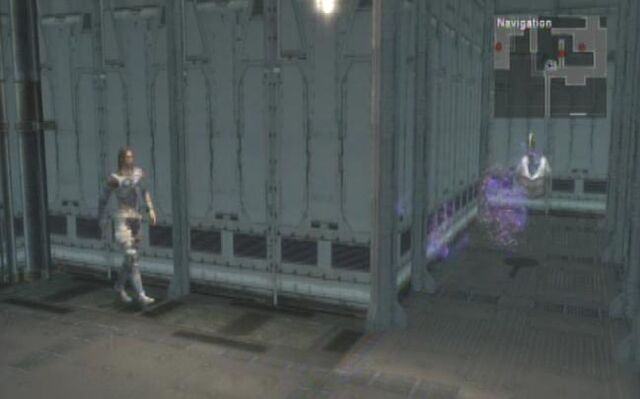 File:White-boa-04.jpg