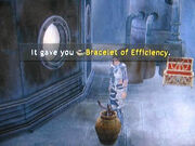 Bracelet-of-efficiency