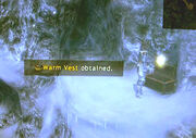 Warm-vest