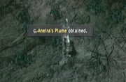 Aneira-Plume