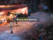 Spikey-seed