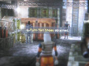 Turn-tail-shoes