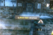 Black-belt