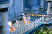 Adept-earrings