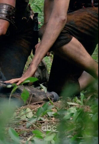 File:Vlcsnap-2010-05-11-22h13m02s114.png.jpg