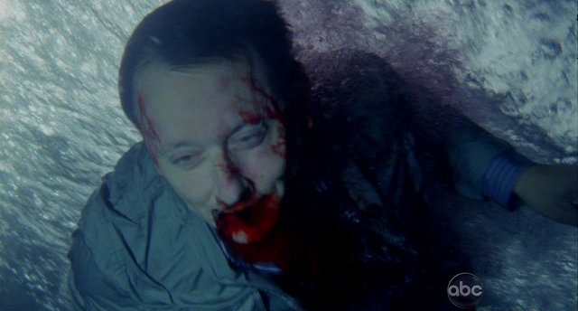File:5x12 Sharkbait.png