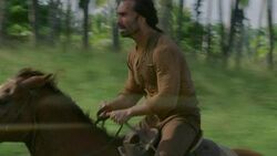 6x09-Ricardo-Pferd.jpg
