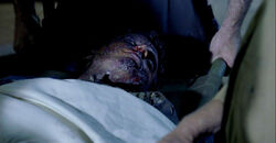 Simmons body.jpg