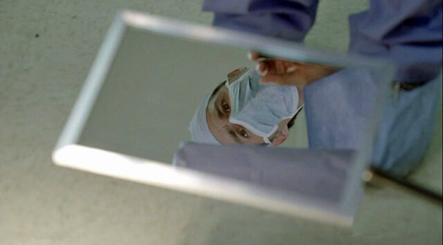File:Jack-mirror6x13.jpg