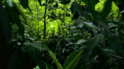 МонстрДвижение.gif