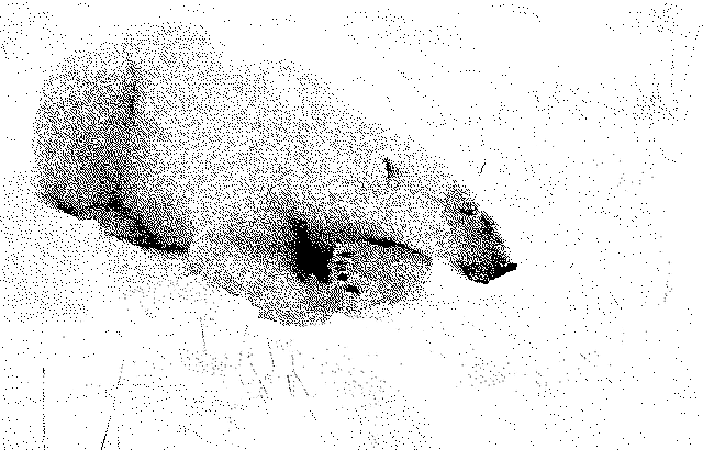 File:Bss1.gif