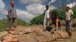 PHI201 02.jpg