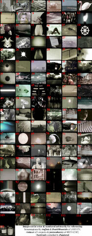 Archivo:OrientationTrainingIssuesVideo.jpg