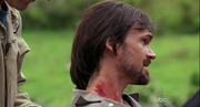 5x14 Graze
