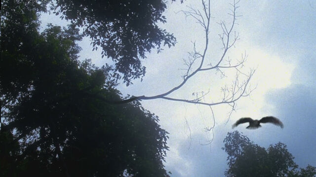 File:1x24-DarkTwrritory.jpg