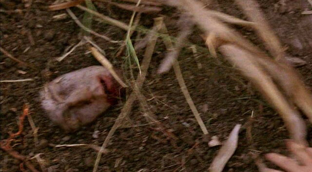 File:Karl Shallow Grave.jpg
