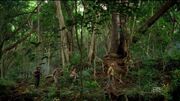 Jungle walking.jpg