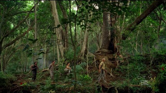 File:Jungle walking.jpg