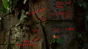 TempleHieroCodes.jpg
