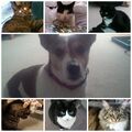 Thumbnail for version as of 00:30, May 9, 2013