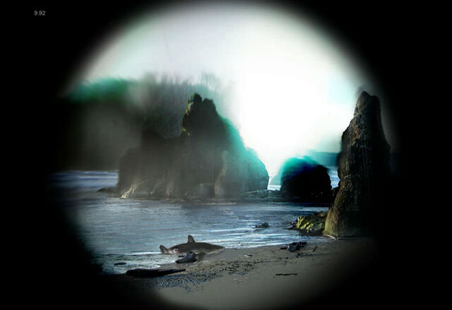 File:Diseasebeach.jpg
