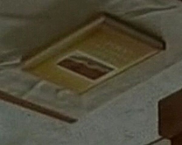 File:Picturebookfuneralzoom.jpg