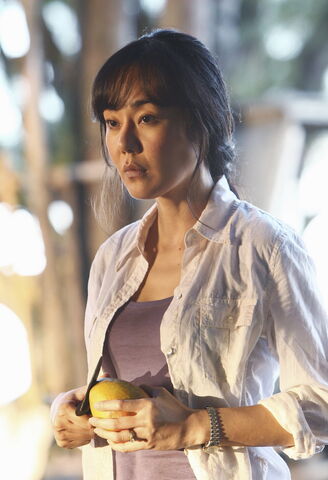 File:6x10 Sun.jpg