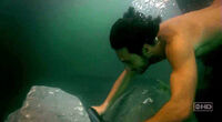 Paulodive2.jpg