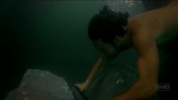 Paulodive2.jpg