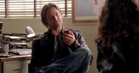 6x13 AnApple.jpg