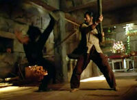 100304-kungfufighting