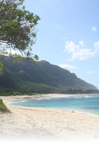 Ficheiro:Island980127.jpg.jpg