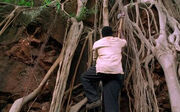 LockeDream2x21.jpg
