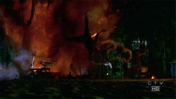 3x22-dynamite-trap1.jpg