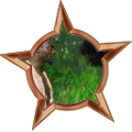 Thumbnail for version as of 19:36, August 17, 2010