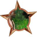 File:Badge-introduction.png