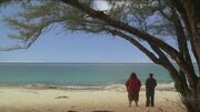 4x01 HurleyBernardBeach.jpg