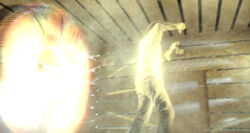 6x11-Desmond-flasht.jpg