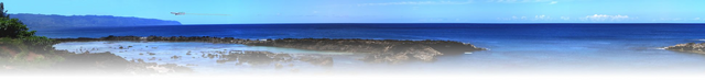 File:Header.png
