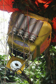 400px-Balloon Closeup.jpg