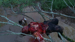 PilotDead 1x01.jpg