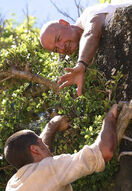 JackLockeCliff1x05