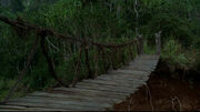 Thebridge.jpg