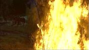 The Fire.jpg